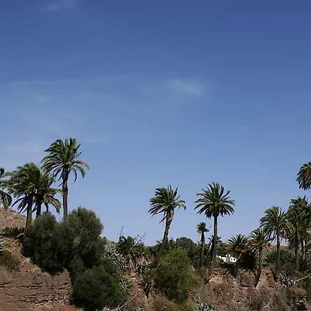 Rural Livvo Maipez